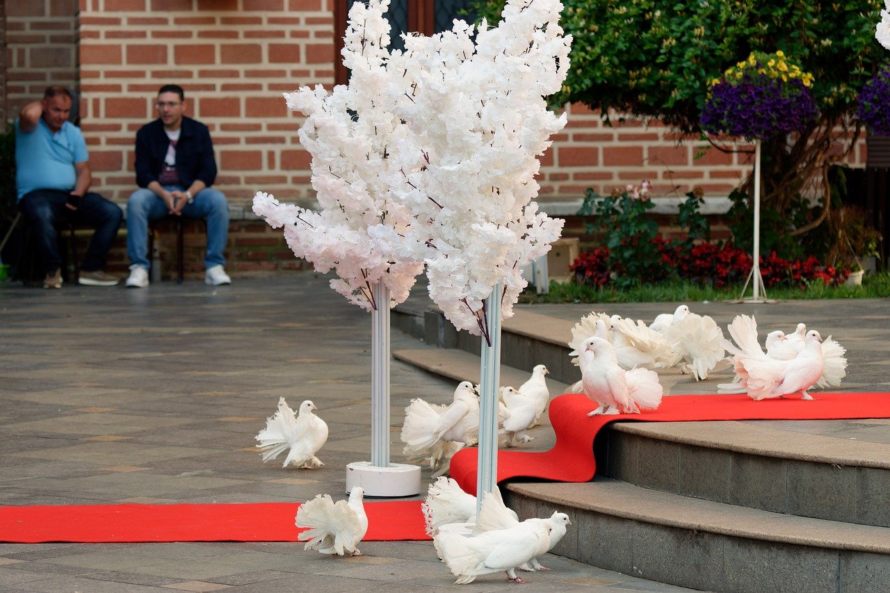 red carpet event